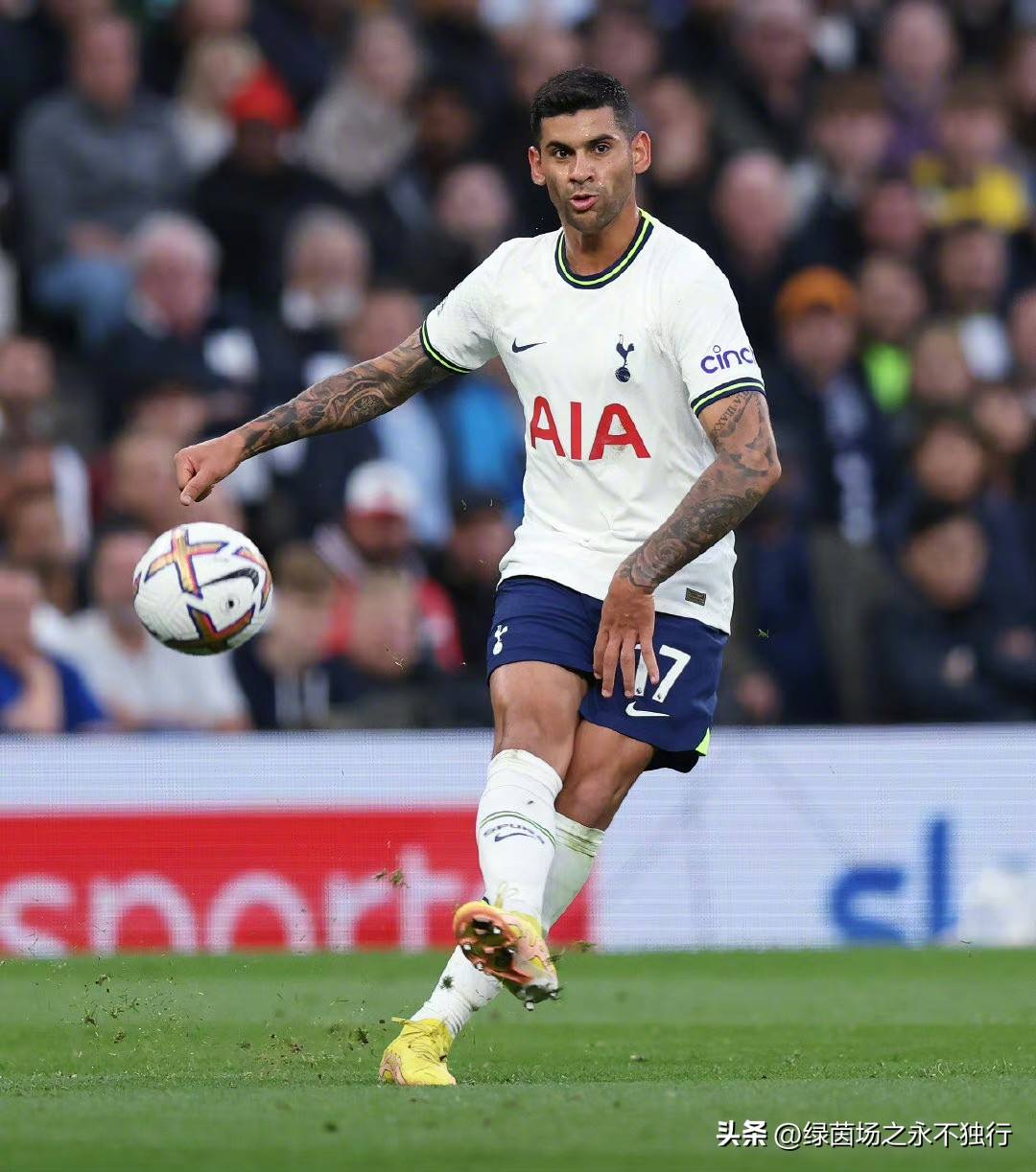 阿根廷球星在英超比赛中表现抢眼